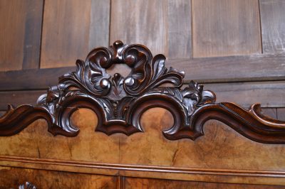 French Walnut Bookcase / Display Cabinet SAI3550 - Image 4