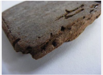 Rare Early Islamic Carved Wood Fragment Eagle Egypt c1000 AD - Image 4