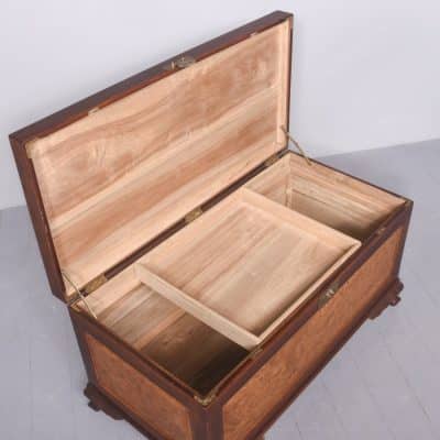 Qing Dynasty Teak, Camphor & Burr-Elm Kist - Image 8