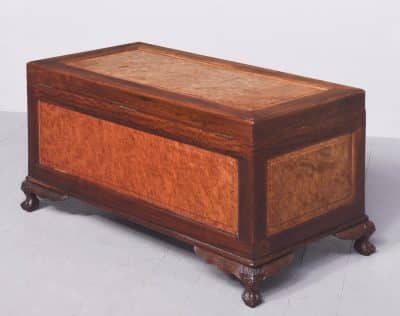 Qing Dynasty Teak, Camphor & Burr-Elm Kist - Image 9