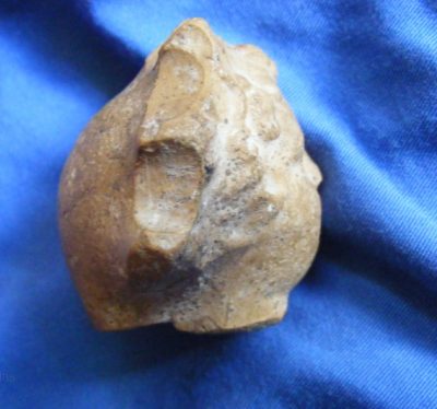 Stunning Quality ancient Roman Terracotta Head c2,000 years old - Image 3