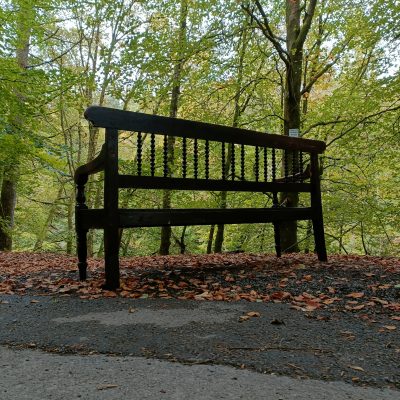 18C Cumberland farmhouse bench - Image 13