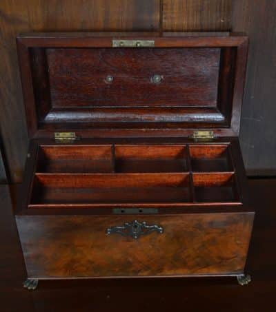 Georgian Mahogany Storage Box SAI3215