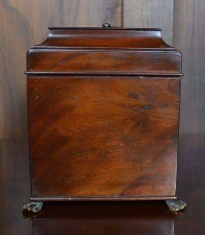 Georgian Mahogany Storage Box SAI3215 - Image 6