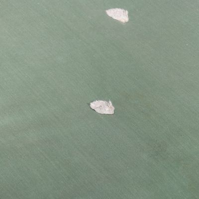 Pair of Sir Robert Lorimer Single Beds - Image 4