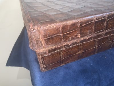 ATTACHES CROCODILE SKIN CASE - Image 6