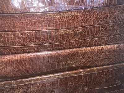 ATTACHES CROCODILE SKIN CASE - Image 12