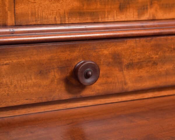 Victorian Mahogany Bookcase SAI2391 - Image 5