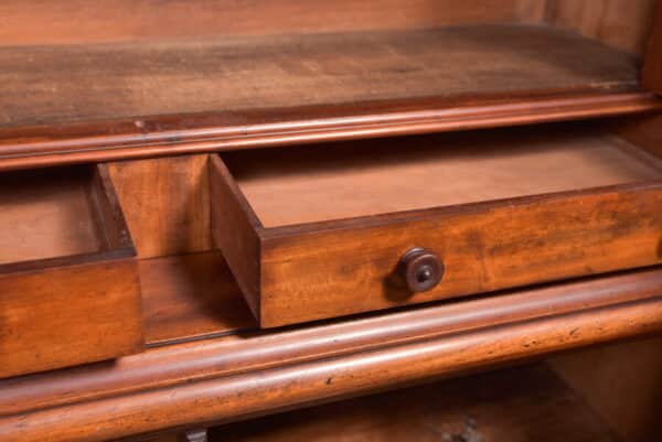 Victorian Mahogany Bookcase SAI2391 - Image 27