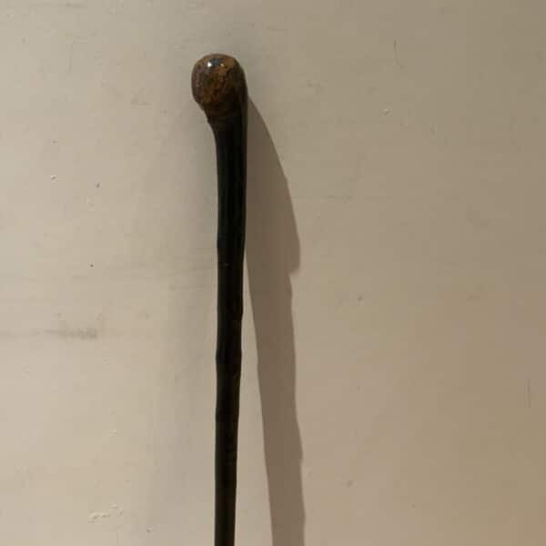 Irish Blackthorn Gentleman’s walking stick sword stick - Image 3
