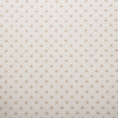George IV Scottish Mahogany Armchair - Image 9