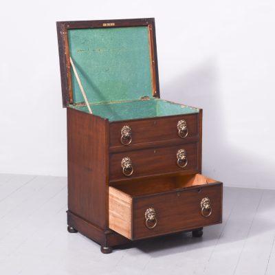William IV Neat-Sized Mahogany Cellarette in The Form of a Chest of Drawers - Image 5