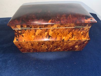 TORTOISE SHELL GEORGIAN  TEA CADDY