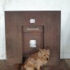 Antique Cast Iron Fire Back Inset