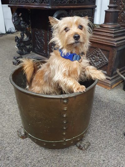 Antique Fireplace Log Bin or Jardiniere Planter