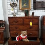 Antique Victorian Chest of Drawers 19th century Antique Chest Of Drawers