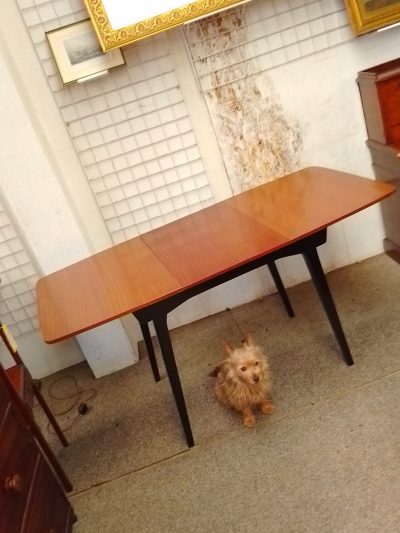 Small Retro Dining Table Seats 6