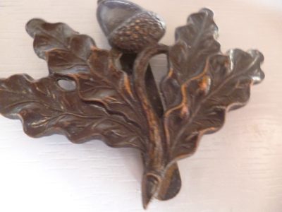 CAP BADGE ACORN