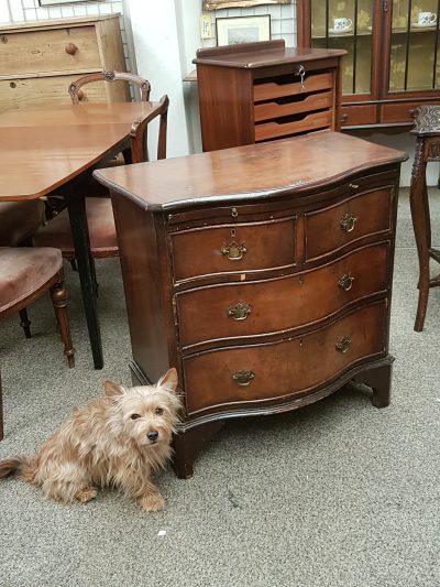 Small Edwardian Serpentine Chest