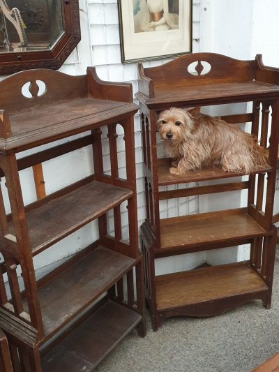 Pair of Antique Arts & Crafts Oak Bookcase Shelves
