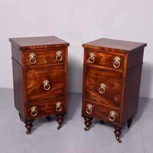 Attractive Pair of George III crossbanded mahogany pedestals Antique Cupboards