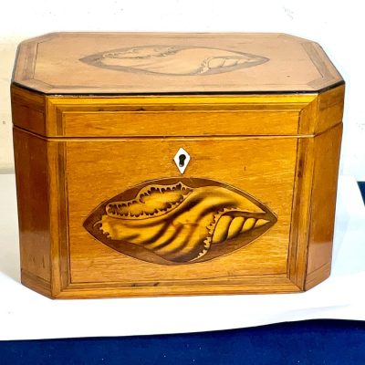 Tea Caddie Satinwood With Shell Inlays Georgian