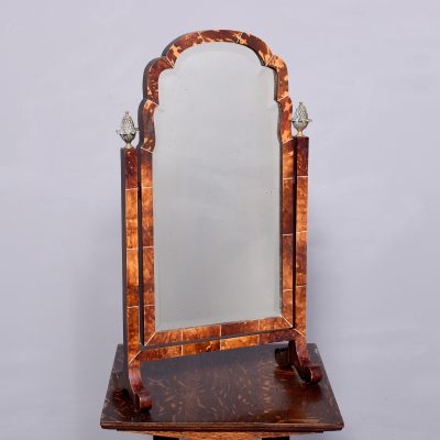Tortoise Shell Toilet Mirror