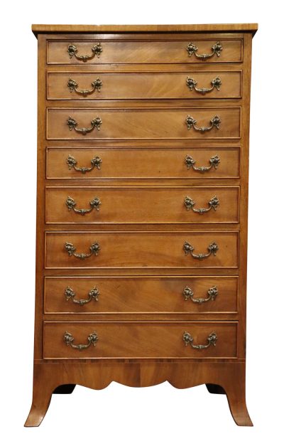 Mahogany Collectors Chest