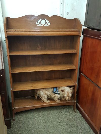 Antique Arts & Crafts Oak Bookcase Shelves
