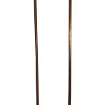 Pair of Early 20th Century Brass Standard Lamps with Claw Feet Antique Lighting