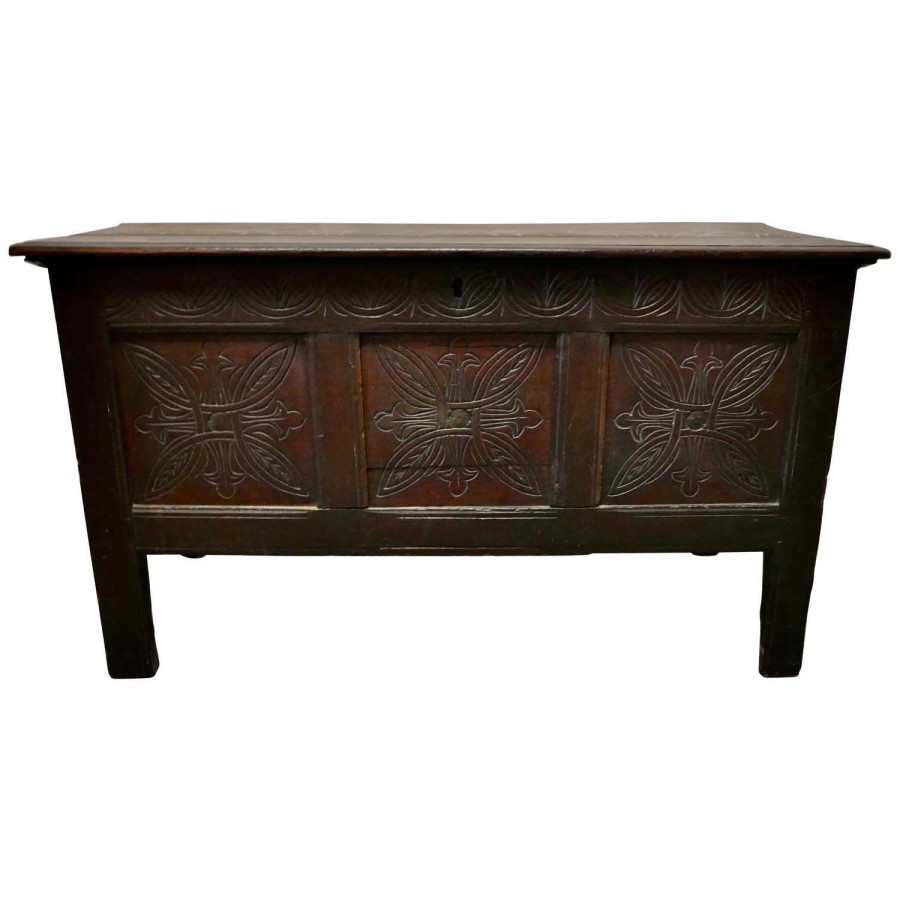 19th Century Carved Paneled Oak Coffer