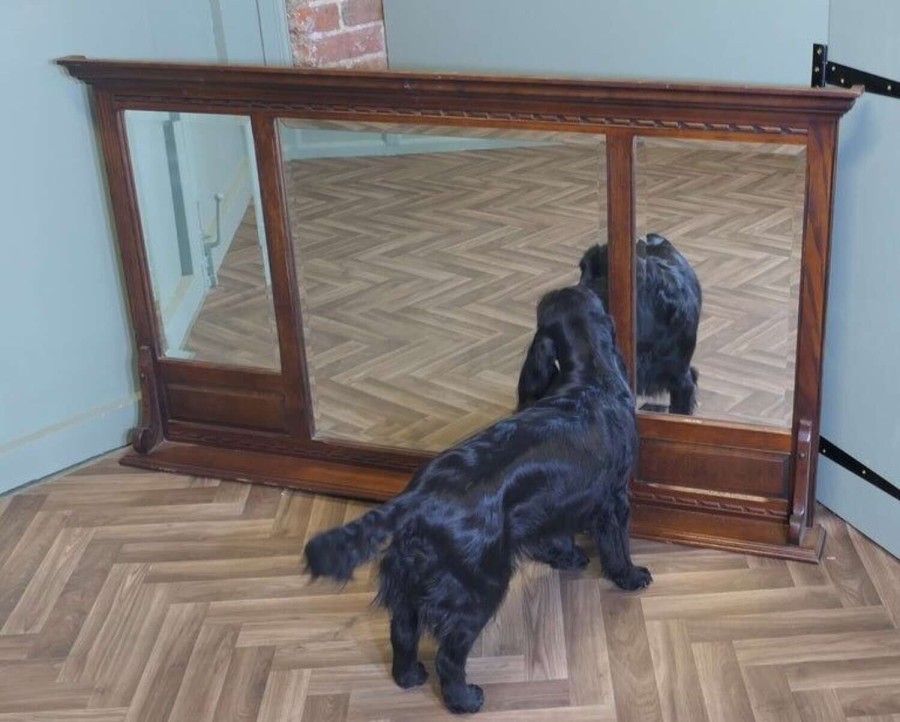 Old Charm Oak Overmantel, Triple Mirror