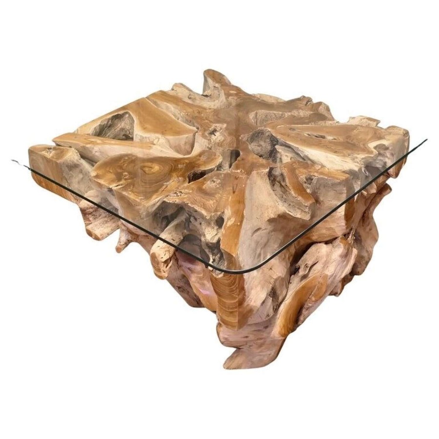 Live Edge Yewwood Root Tree Coffee Table With Glass Top