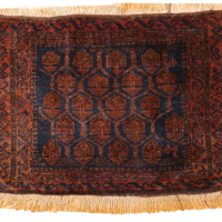 BELUTCH BAGFACE 67cm x 49cm