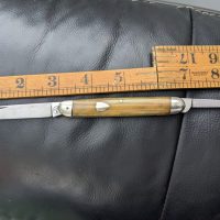 Victorian pocket knife cow horn scales