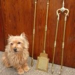 Good Antique Victorian Set of 3 Brass Fire Irons