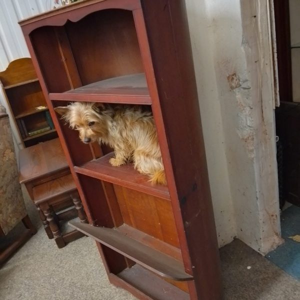 Antique Boat Bookcase