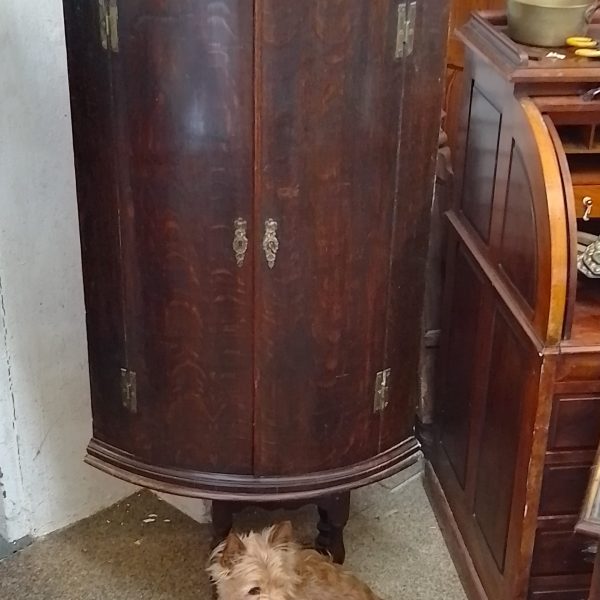 Antique Georgian Bow Front Hanging Corner Cupboard