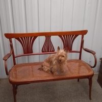 Good Bentwood Chair Back Settee
