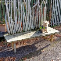Good Vintage Garden Bench
