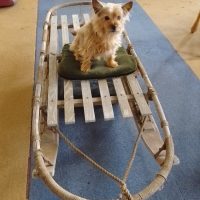 Military Nansen Mountain Rescue Recovery Sledge