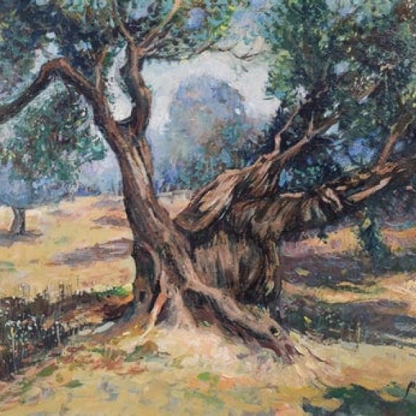 The Old Olive Tree
