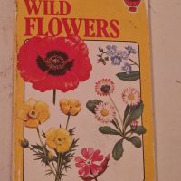 Paperback book titled ‘Spotter’s Guide to Wild Flowers’ by C.J. Humphries, published by Usborne Pocketbooks