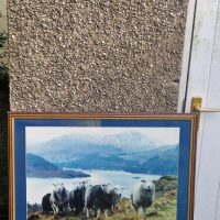 Framed photographic print titled ‘Gentle Days’ by Steven Townsend