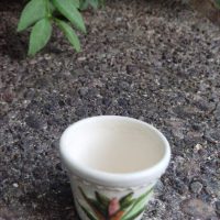 Ceramic planter with hand-painted tropical foliage design