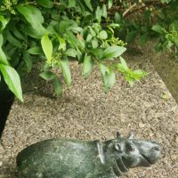 Serpentine stone sculpture of a hippopotamus by Shona artisans of Zimbabwe