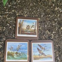 Set of three cork-backed coasters featuring waterfowl illustrations by ‘English Life’