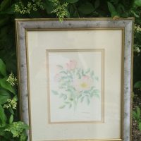 Watercolor botanical illustration depicting a flowering plant,