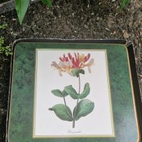 Set of 6 laminated cork-backed table mats by Cloverleaf