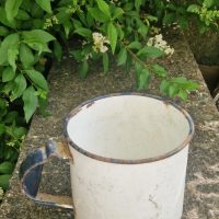 Vintage enamelware mug with blue rim